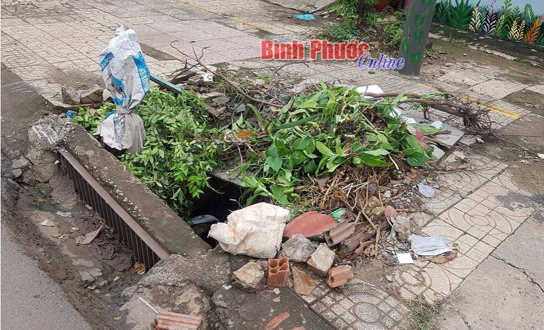 “Bẫy” giữa trung tâm thành phố