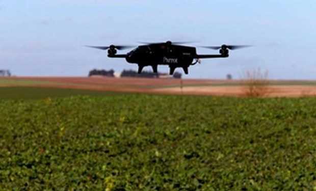 Luxembourg ứng dụng thiết bị không người lái trong việc trồng nho