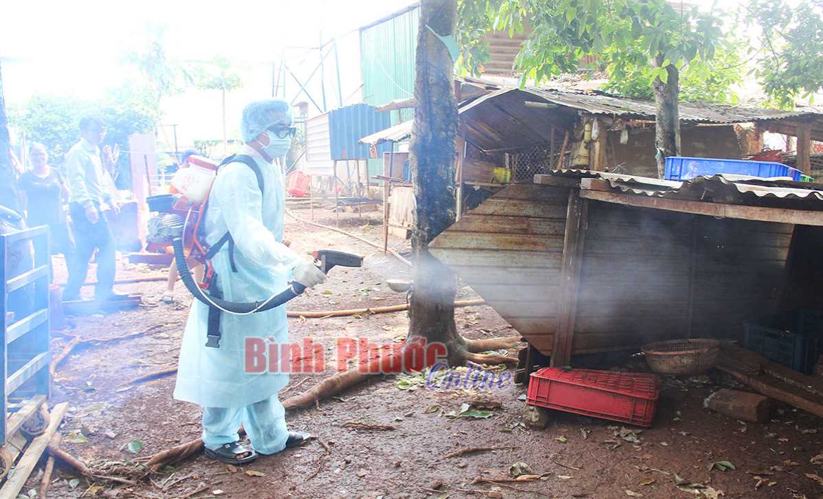 1 trường hợp tử vong do sốt xuất huyết