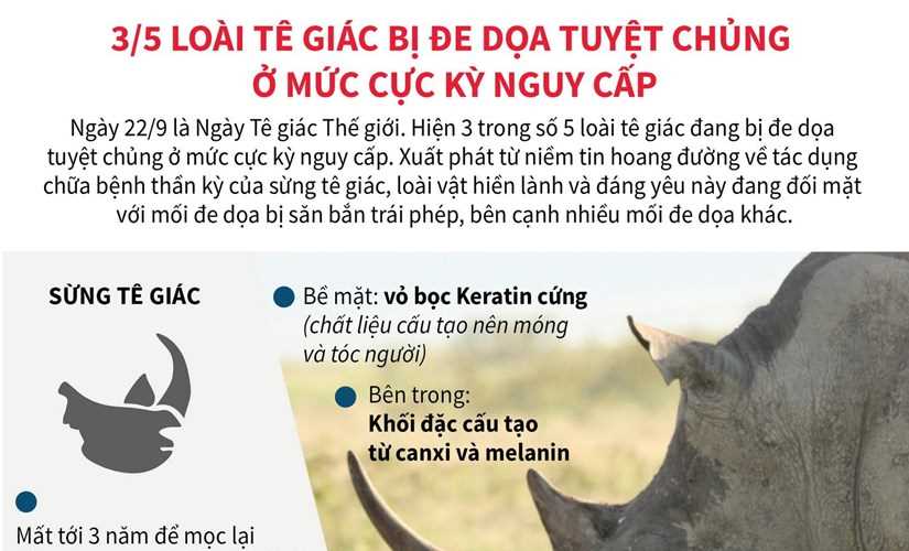 3/5 loài tê giác bị đe dọa tuyệt chủng ở mức cực kỳ nguy cấp