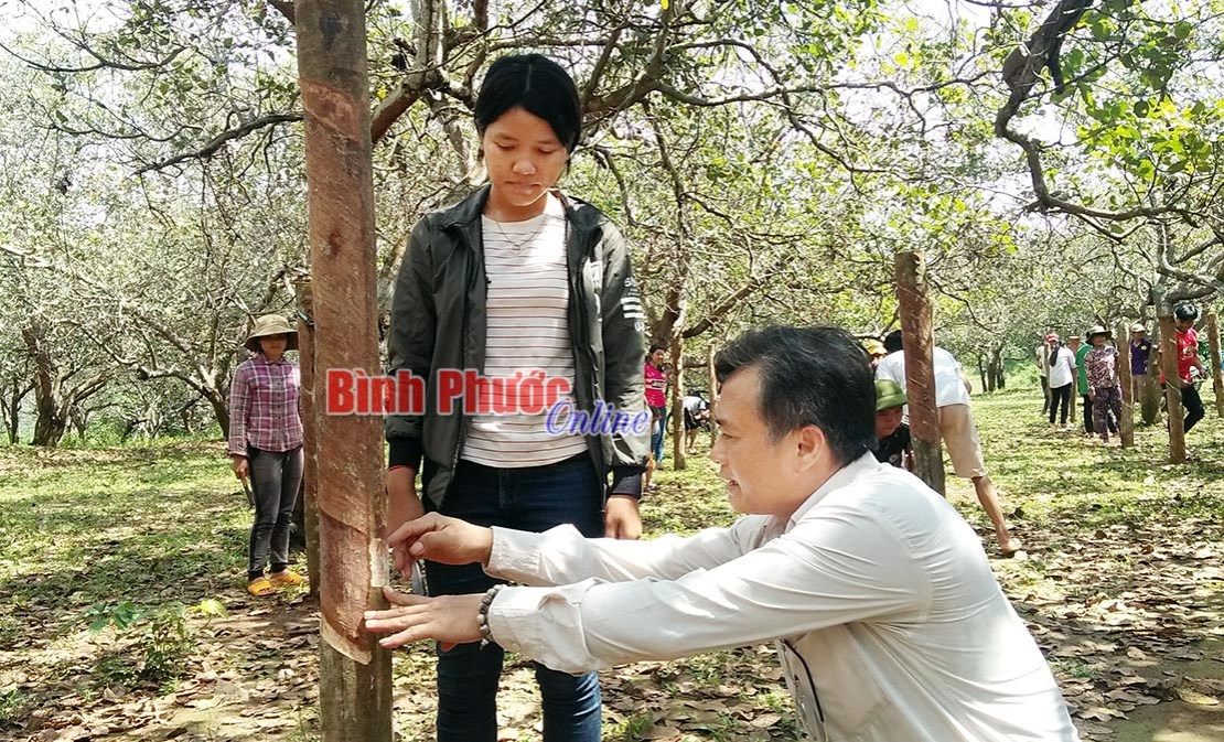 Phối hợp 3 b&ecirc;n trong đ&agrave;o tạo nghề v&agrave; giải quyết việc l&agrave;m