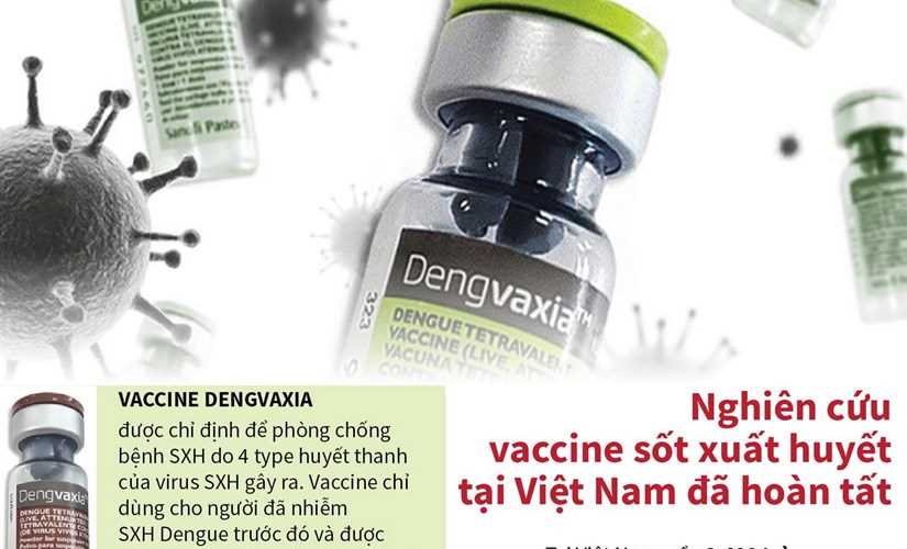 Nghiên cứu vắcxin sốt xuất huyết tại Việt Nam đã hoàn tất