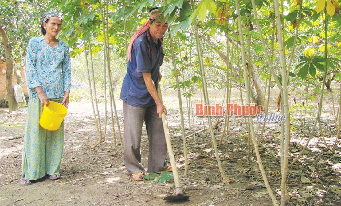 Thống nhất nội dung chủ yếu của Đề &aacute;n tổng thể ph&aacute;t triển KT-XH v&ugrave;ng DTTS v&agrave; miền n&uacute;i