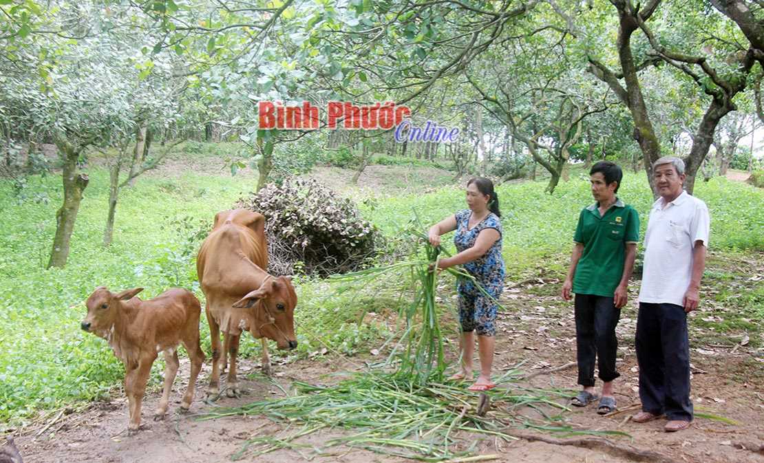 Ph&uacute; Riềng ch&uacute; trọng giảm ngh&egrave;o bền vững