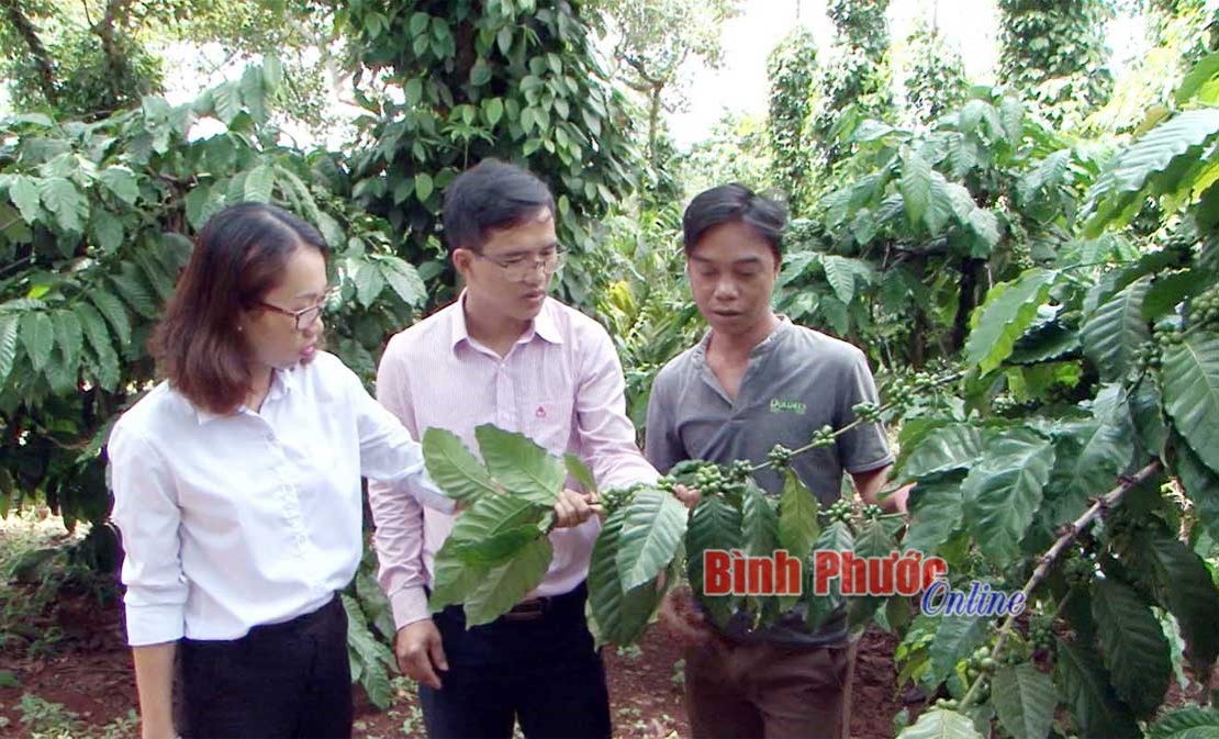 Giảm nghèo bền vững từ tín dụng chính sách