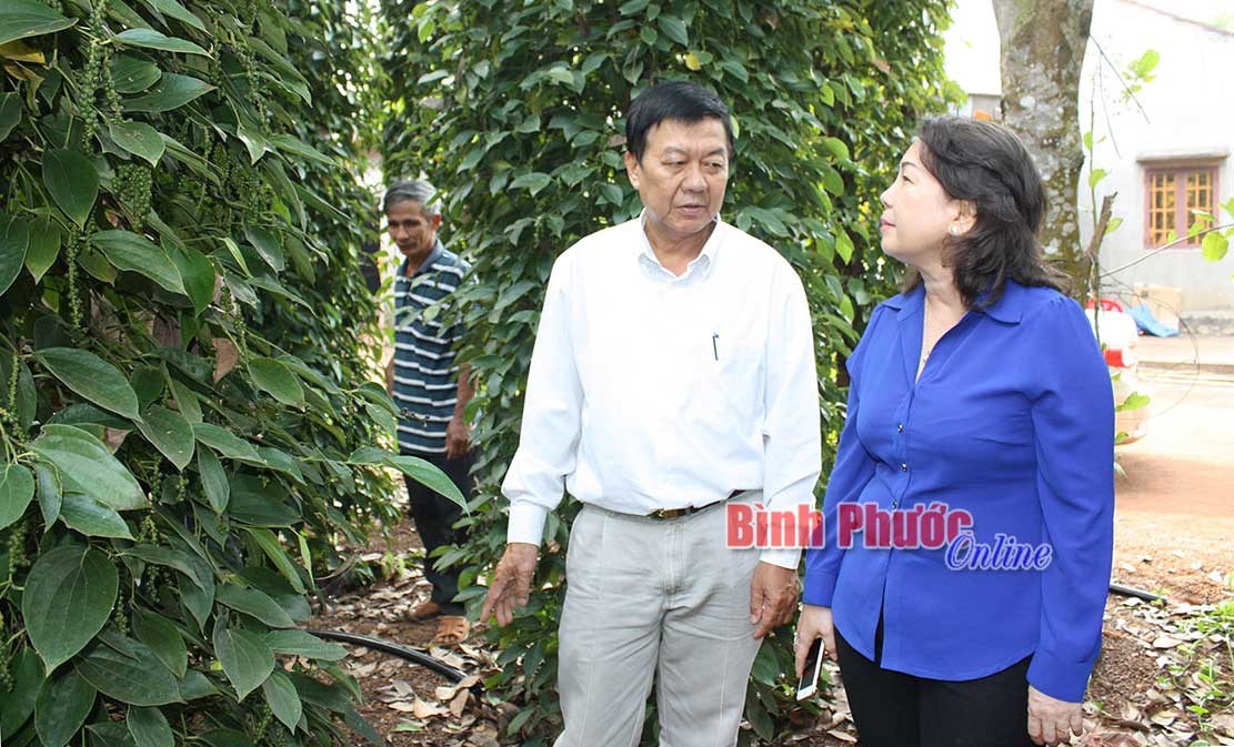 &ldquo;D&acirc;n vận kh&eacute;o&rdquo; ở bi&ecirc;n giới Lộc Ninh