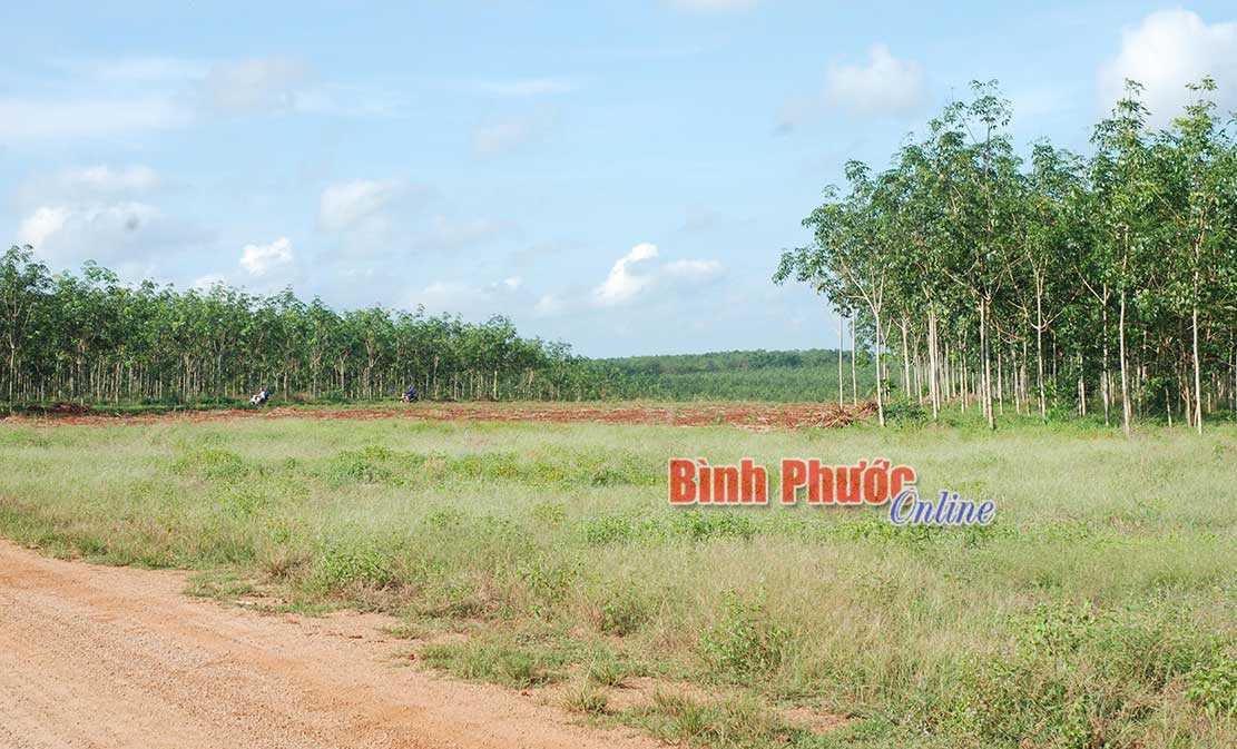 Đẩy mạnh chủ trương t&iacute;ch tụ, tập trung đất đai