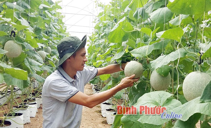 Năm 2020, phấn đấu GRDP của tỉnh tăng 7,7-8%