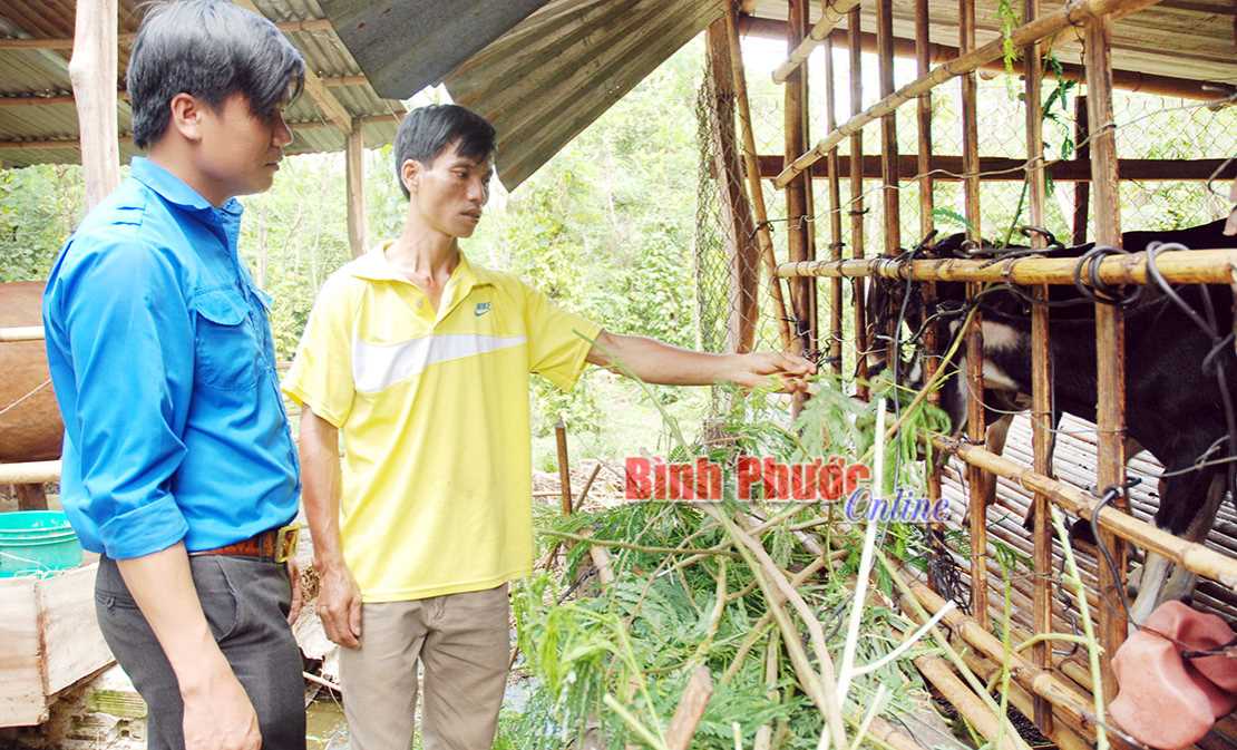 Hiệu quả sử dụng vốn tín dụng chính sách xã hội