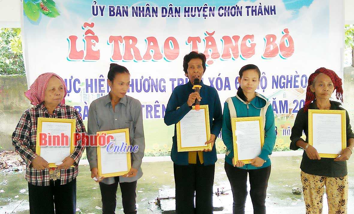 Bàn giao bò sinh sản cho 5 hộ DTTS nghèo