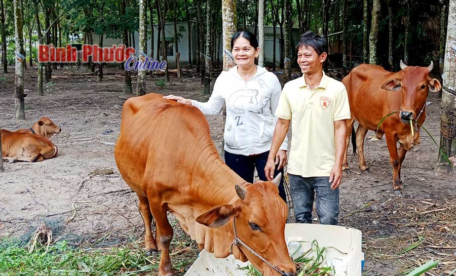 Vốn tín dụng chính sách tiếp sức hộ nghèo