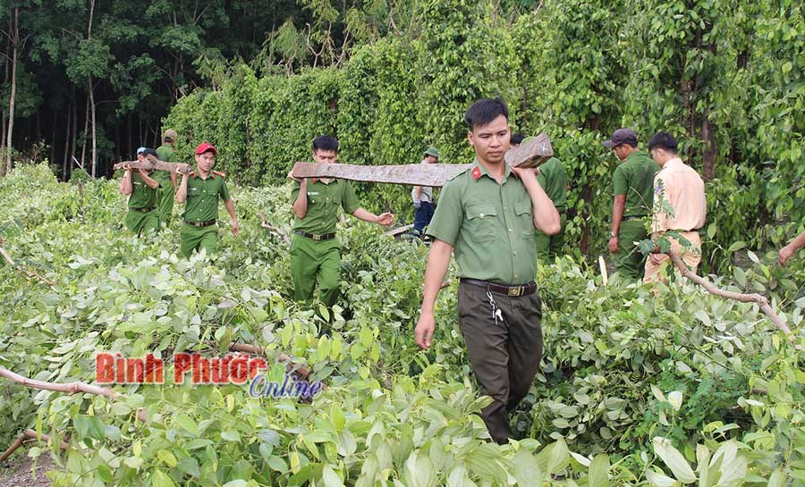 Lực lượng vũ trang giúp nhân dân khắc phục hậu quả thiên tai