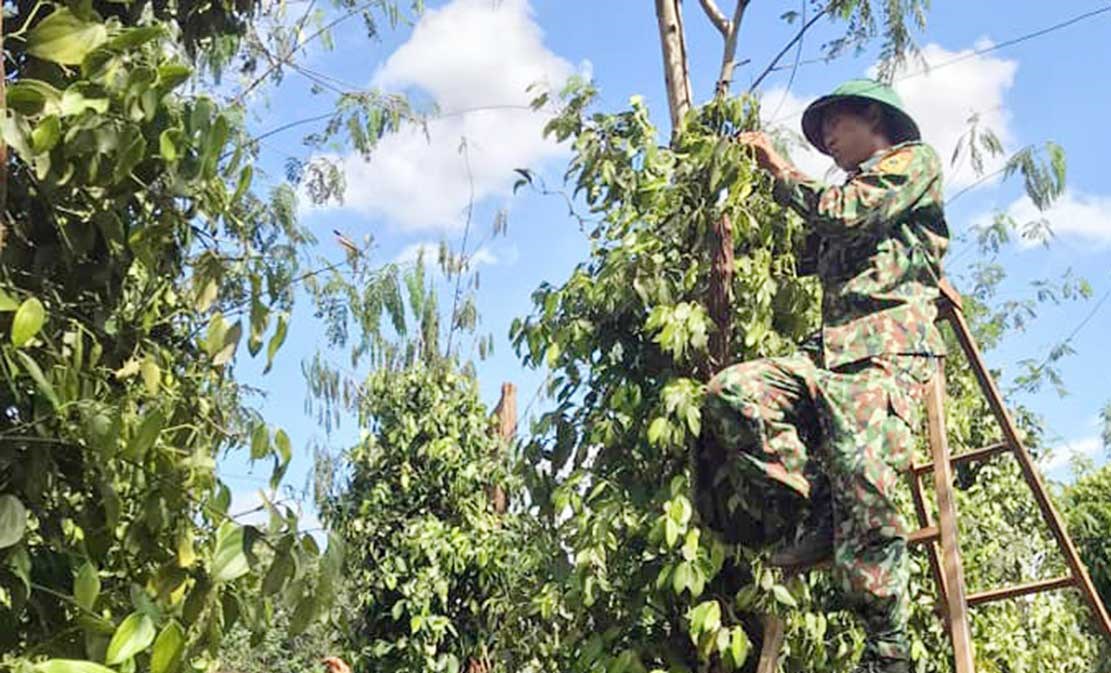 Dấu ấn của c&aacute;n bộ, đảng vi&ecirc;n bi&ecirc;n ph&ograve;ng tại chi bộ d&acirc;n cư