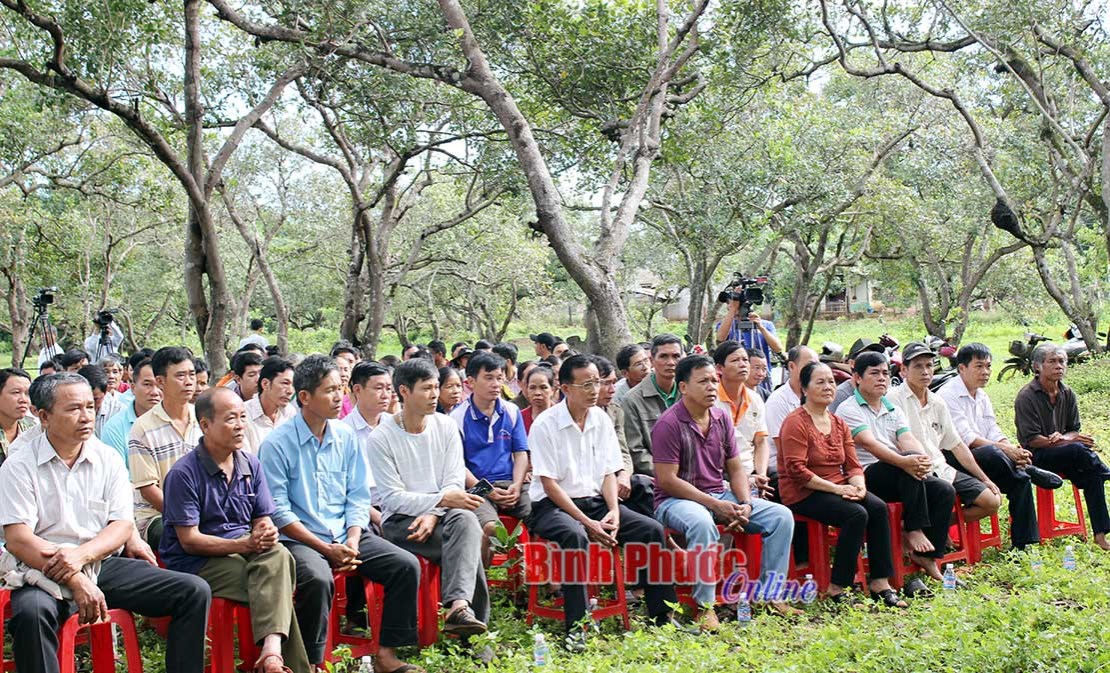 Hội thảo về cây điều thích ứng với biến đổi khí hậu