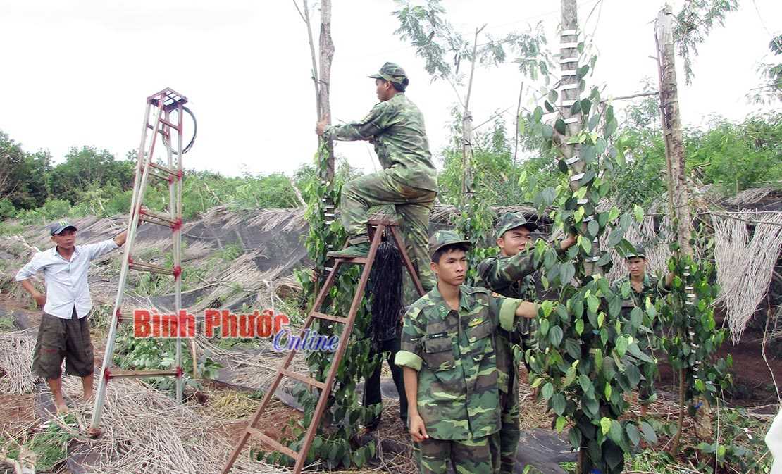 Lộc Ninh c&ograve;n 972 hộ ngh&egrave;o DTTS