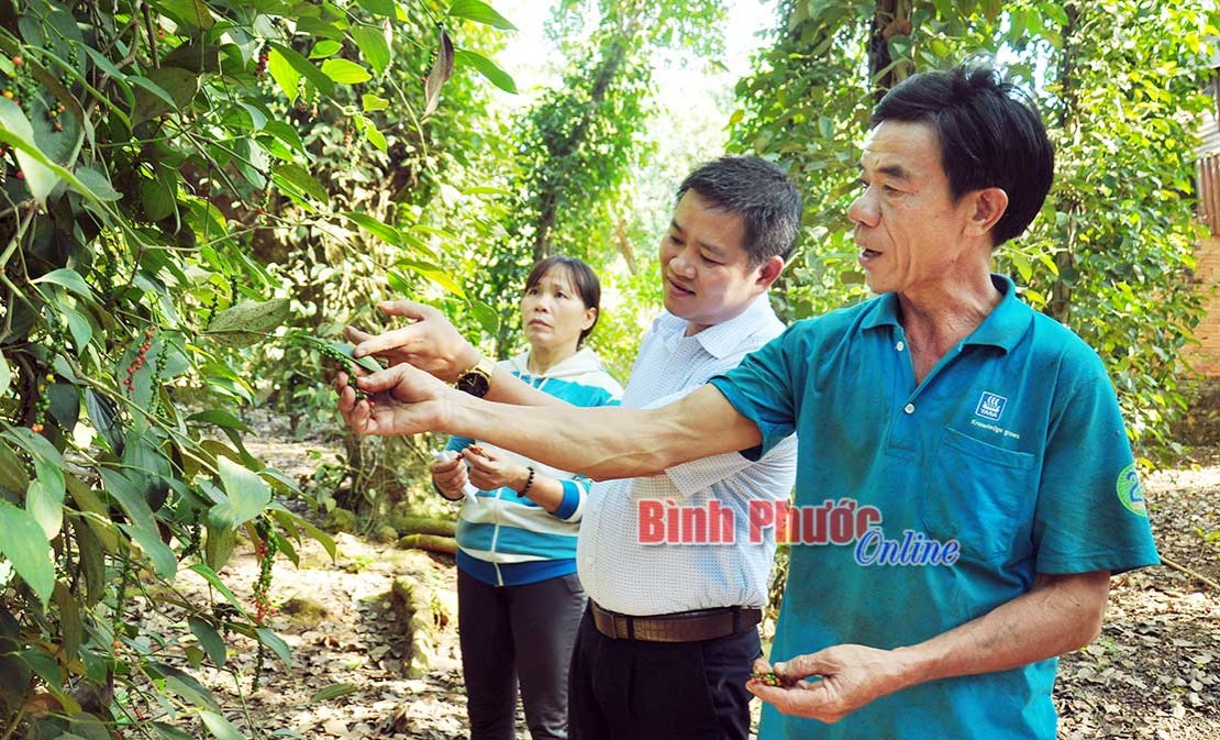 T&iacute;n dụng ch&iacute;nh s&aacute;ch n&acirc;ng bước người ngh&egrave;o