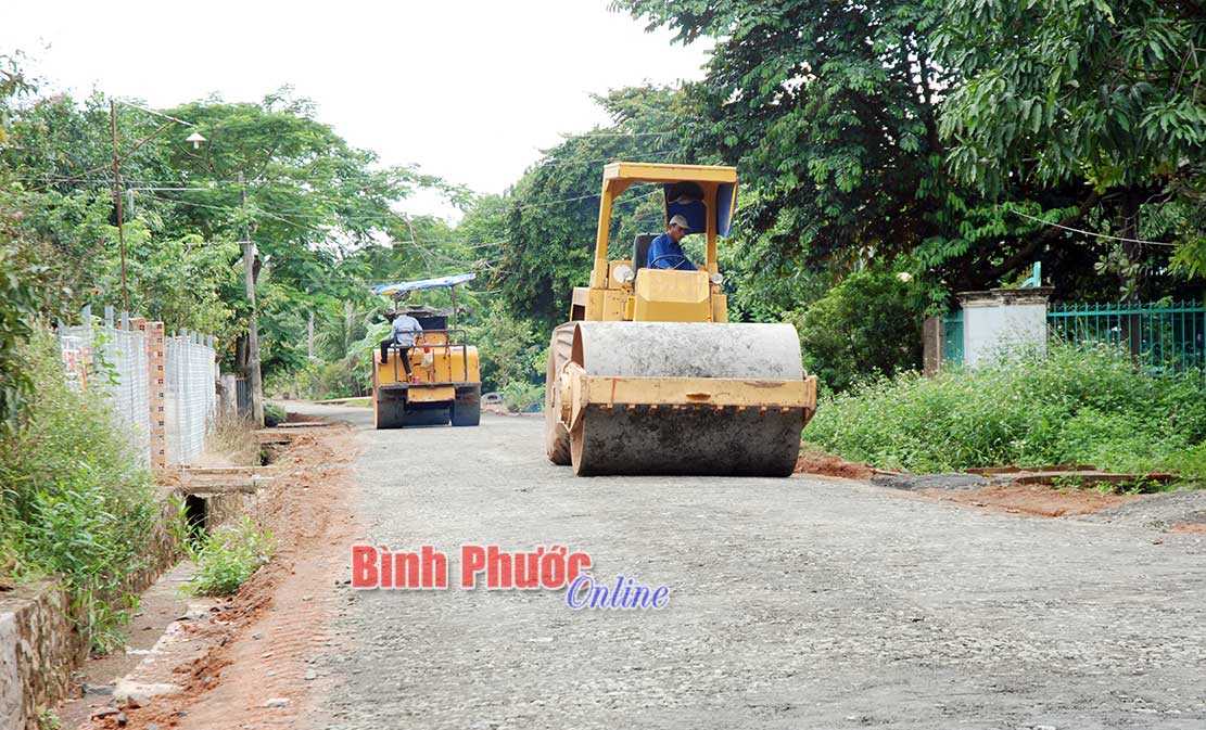 Triển khai thực hiện Nghị quyết số 03/2019/NQ-HĐND