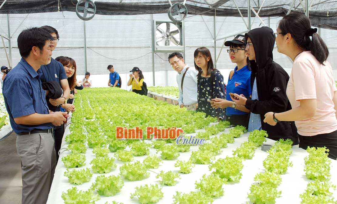 Đến 2025, tỉ lệ doanh nghiệp sử dụng c&ocirc;ng nghệ ti&ecirc;n tiến, hướng đến c&ocirc;ng nghệ cao tăng 50%