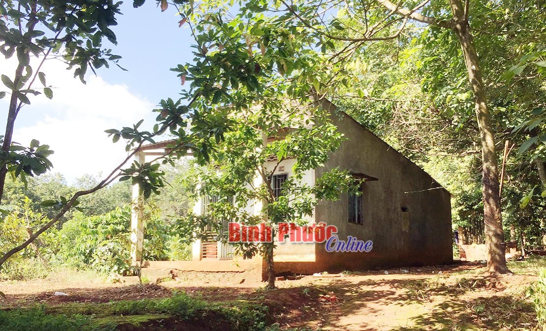 C&aacute;i gi&aacute; của l&ograve;ng tham v&agrave; sự tắc tr&aacute;ch