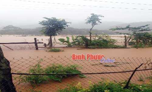 Lực lượng vũ trang ứng cứu nhân dân trong lũ lớn