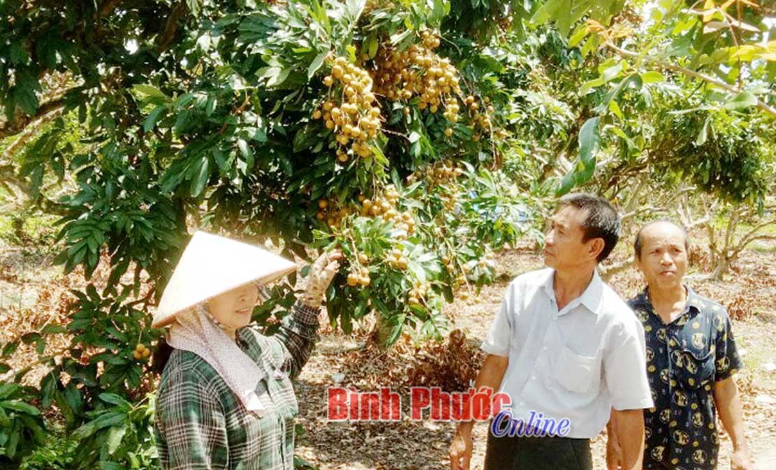 2.000 hộ dân xã Tân Hiệp “khát” sổ đỏ