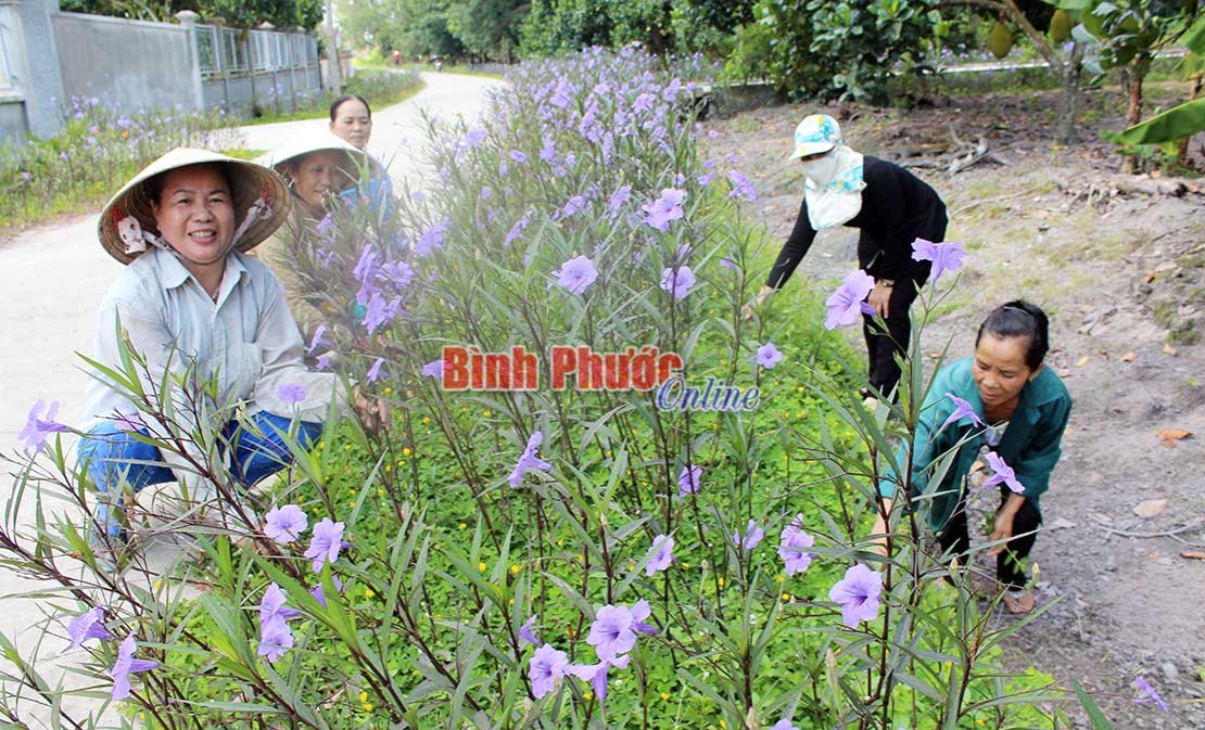 Chung sức đổi mới n&ocirc;ng th&ocirc;n