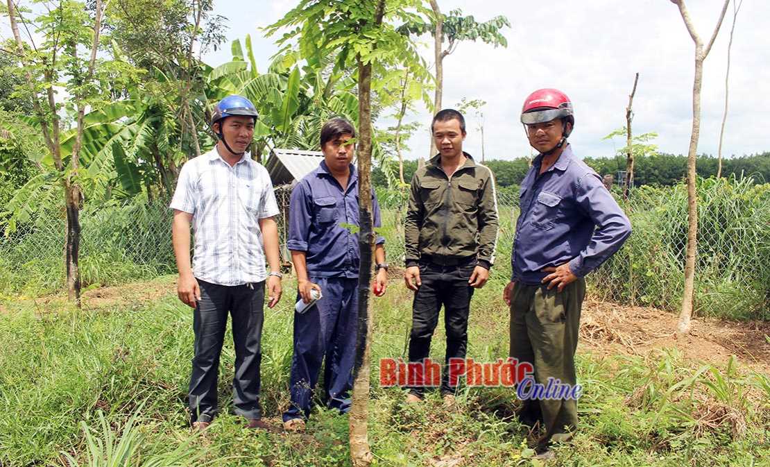 Bắt nhóm đối tượng trộm cây xanh