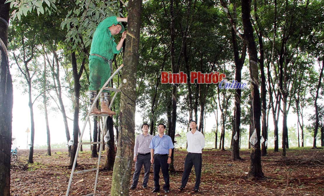 Sáng kiến khởi nguồn từ thực tiễn sản xuất