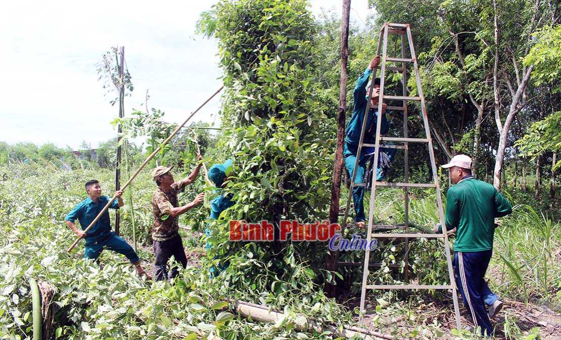 Lộc Ninh: 36 căn nhà bị sập, tốc mái do lốc xoáy