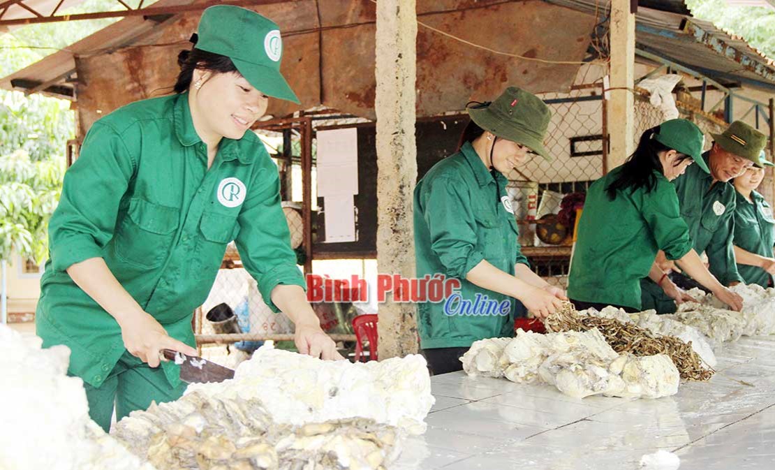 Đẩy mạnh phát triển kinh tế hộ để giữ nghề