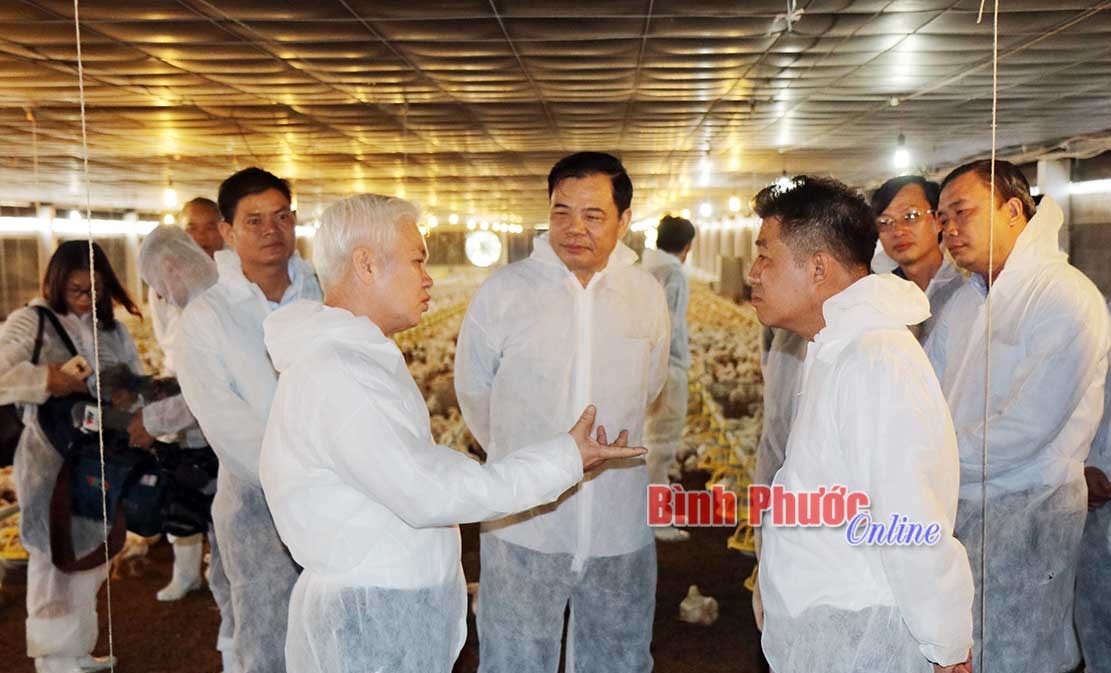 B&ocirc;̣ trưởng Nguy&ecirc;̃n Xu&acirc;n Cường làm vi&ecirc;̣c tại Bình Phước v&ecirc;̀ phát tri&ecirc;̉n chăn nu&ocirc;i gia c&acirc;̀m