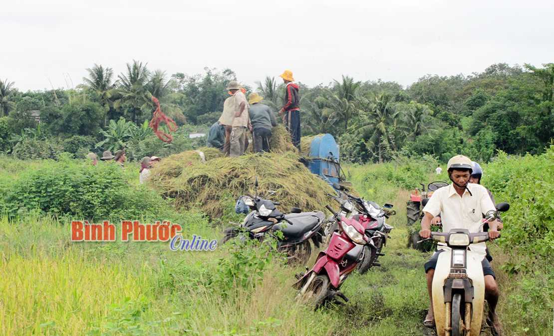 Tập huấn về an to&agrave;n giao th&ocirc;ng cho đồng b&agrave;o v&ugrave;ng DTTS v&agrave; miền n&uacute;i