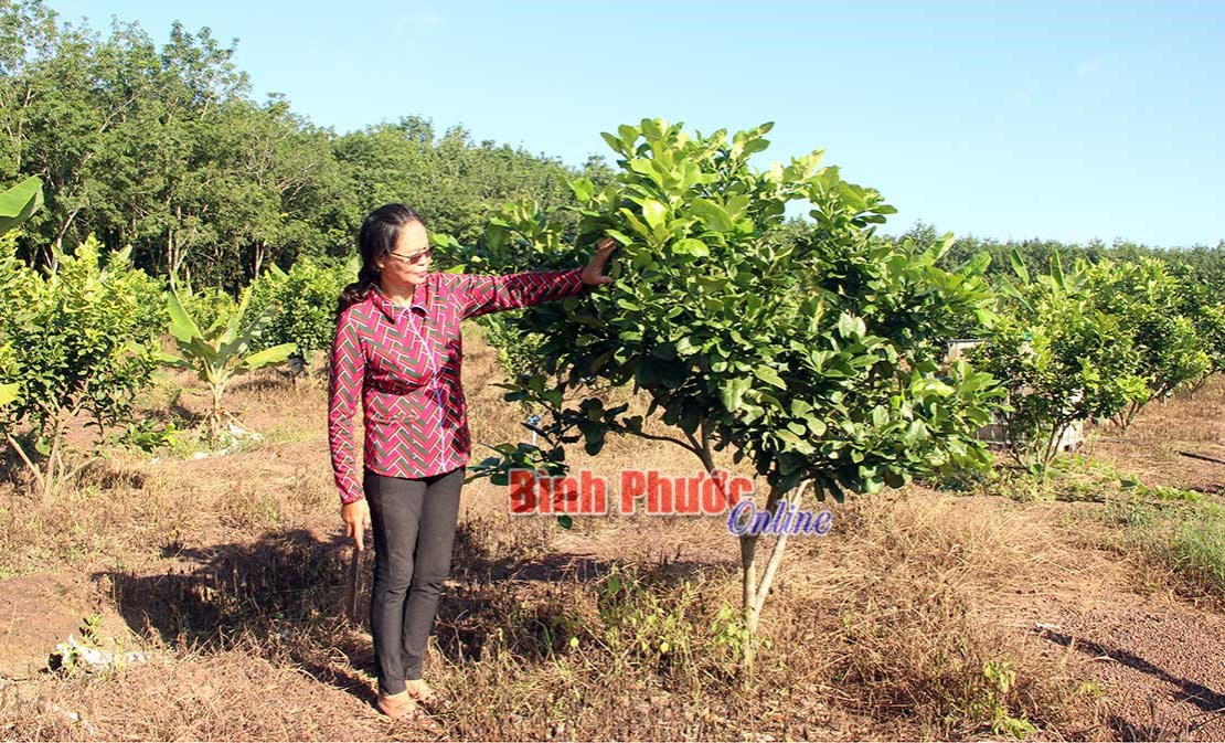 Nghĩa t&igrave;nh đồng vốn ch&iacute;nh s&aacute;ch