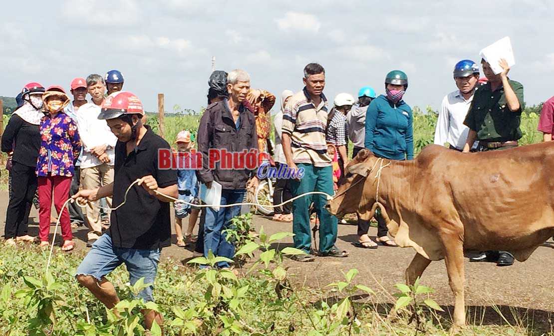 Hơn 19 tỷ đồng hỗ trợ đồng bào DTTS phát triển kinh tế