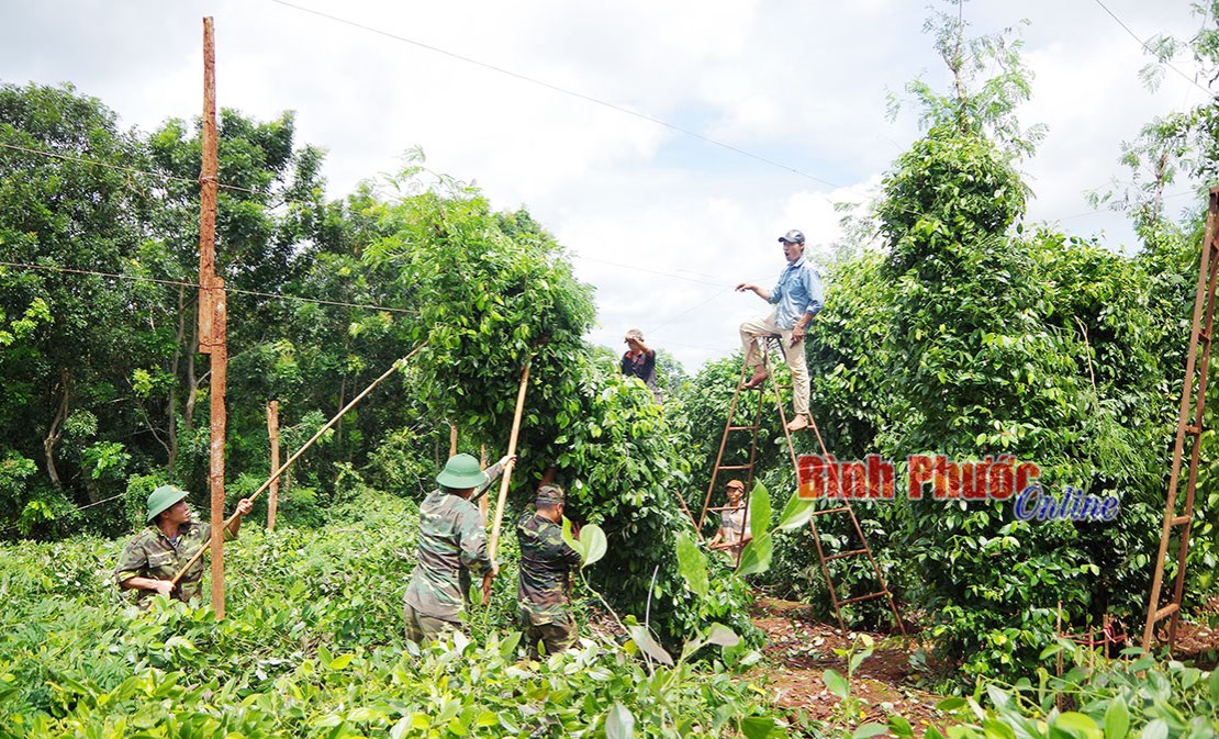 X&acirc;y dựng &ldquo;lũy th&eacute;p&rdquo; ở v&ugrave;ng bi&ecirc;n&nbsp; - B&agrave;i 1