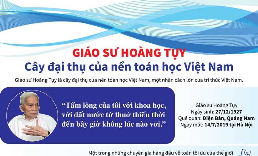 Giáo sư Hoàng Tụy - Cây đại thụ của nền toán học Việt Nam