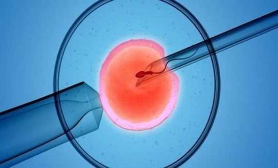 ​Tăng cơ hội thành công cho phương pháp thụ tinh trong ống nghiệm
