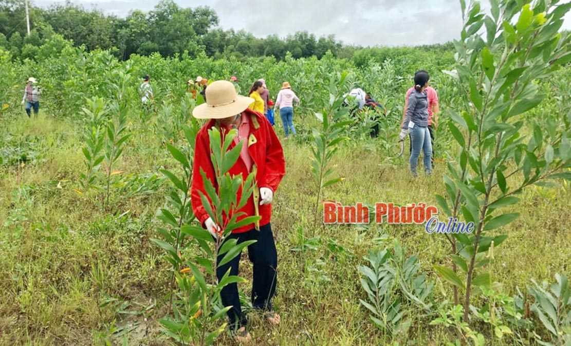 Trung tâm Y tế Hớn Quản bảo vệ môi trường