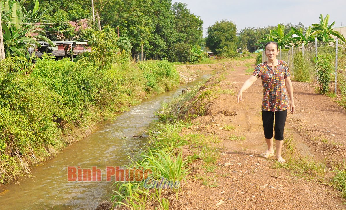 MTTQ phường T&acirc;n Xu&acirc;n đi đầu trong vận động nh&acirc;n d&acirc;n