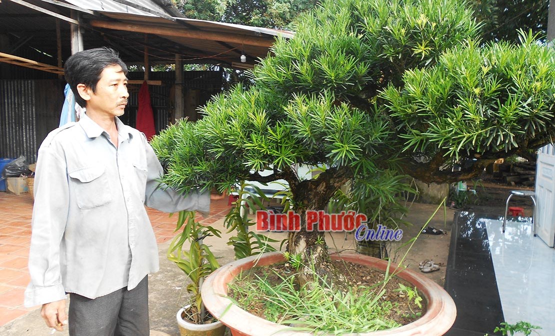 Nhà nông nhạy bén với thị trường