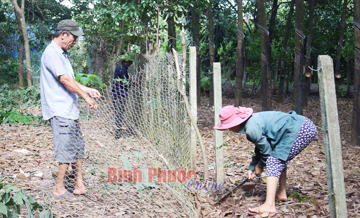 Những con đường &ldquo;&yacute; Đảng - l&ograve;ng d&acirc;n&rdquo; 