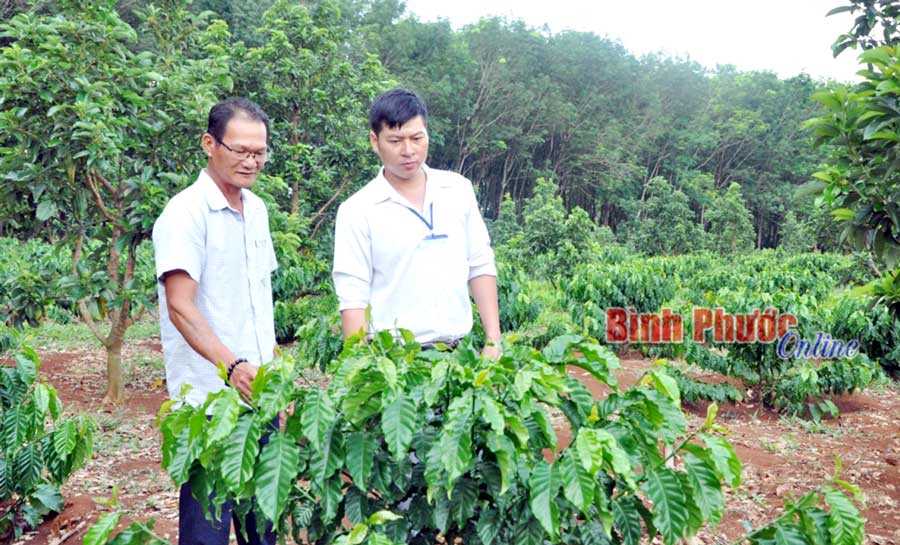 Vốn vay ng&acirc;n h&agrave;ng tạo điều kiện ph&aacute;t triển kinh tế