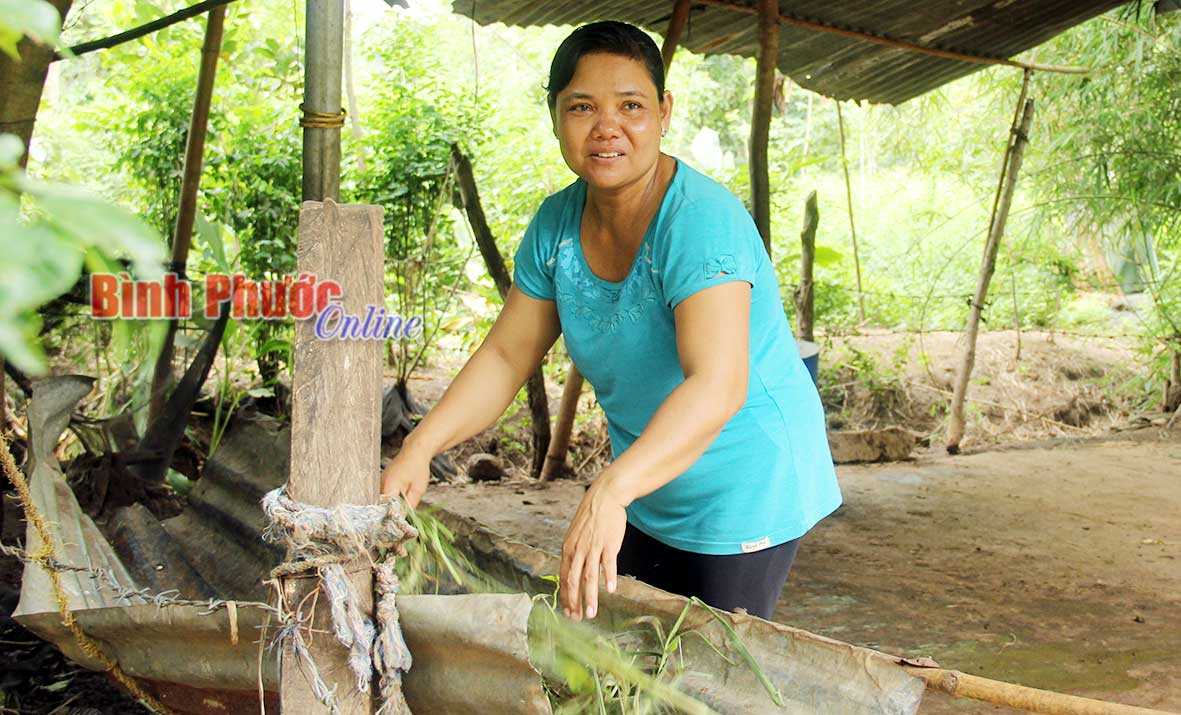 Sinh &iacute;t con để ph&aacute;t triển kinh tế