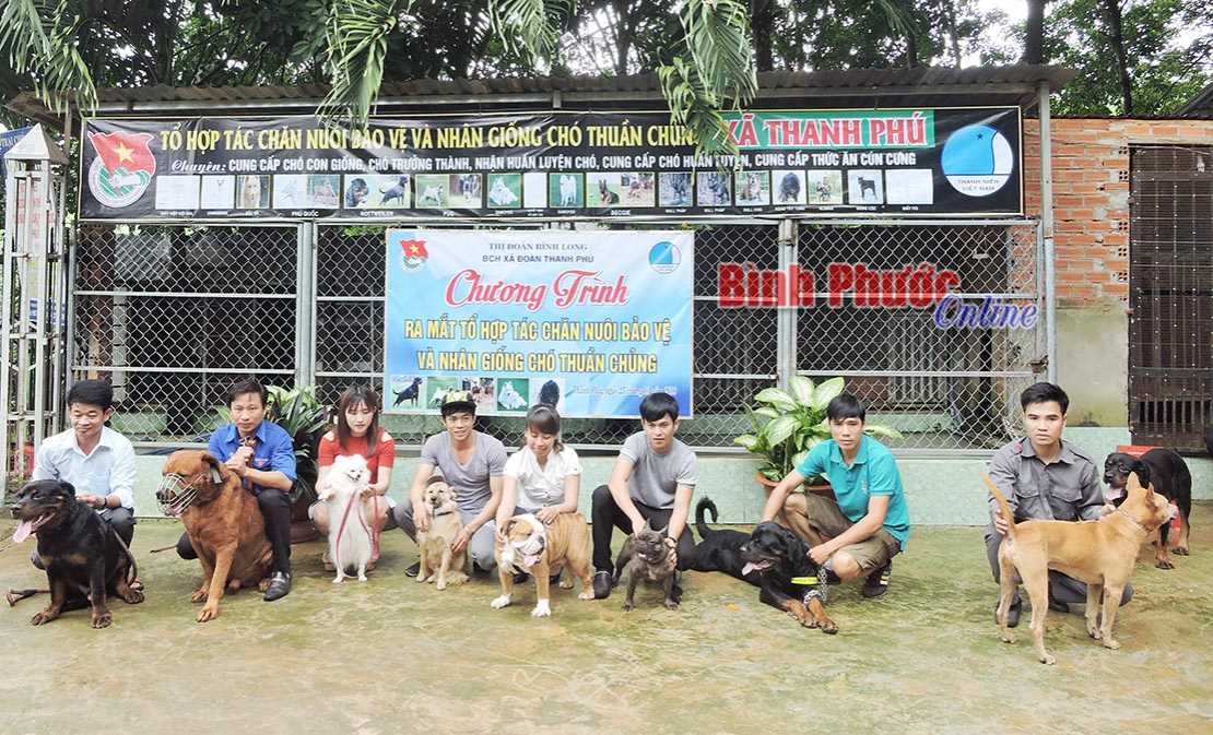 Toàn tỉnh có 11.990 thành viên tổ hợp tác