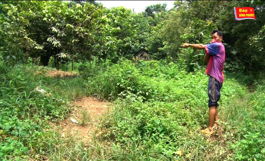 [Video] Trại nuôi heo Công ty cổ phần Phú Vinh gây ô nhiễm nặng