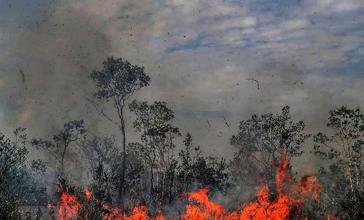 Brazil yêu cầu thế giới tôn trọng chủ quyền trong việc bảo vệ Amazon