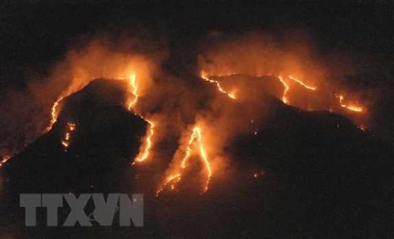 Hàng trăm đám cháy mới lại bùng lên ở khu vực rừng Amazon