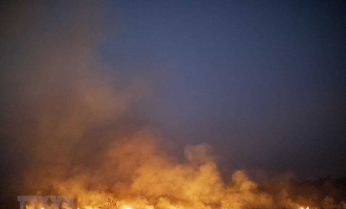 Brazil sẵn sàng tiếp nhận trợ giúp nước ngoài cứu rừng Amazon