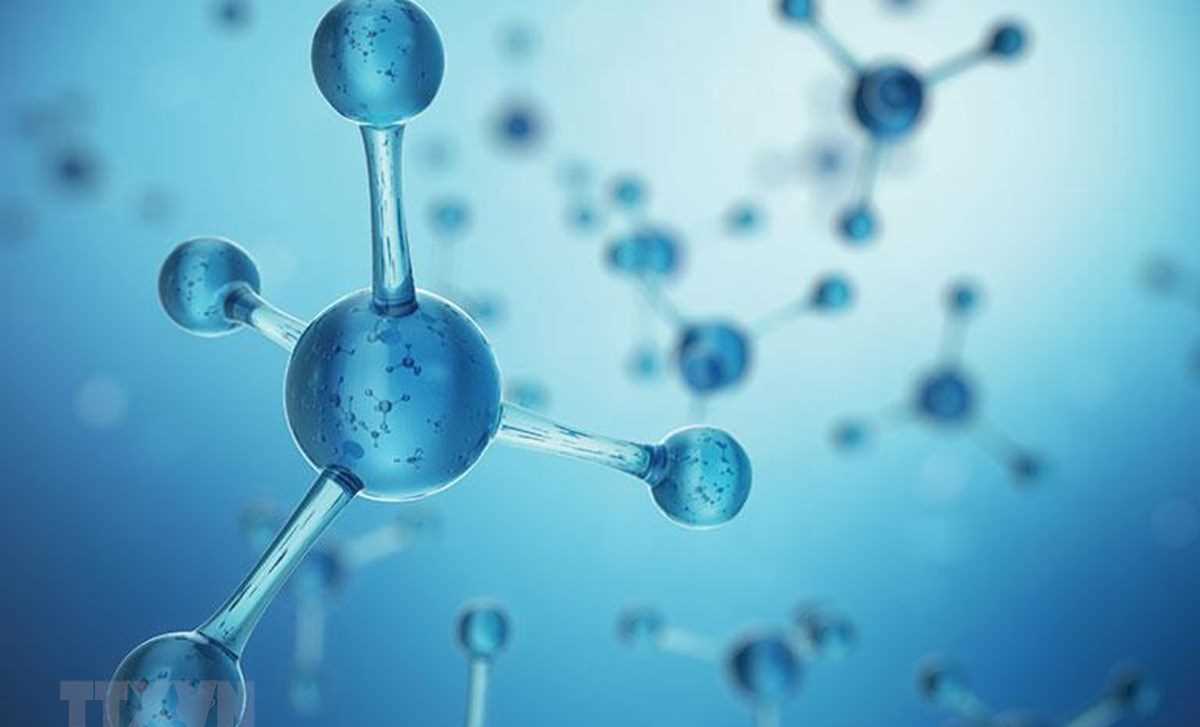 Phương pháp điều trị ung thư mới bằng hạt Nano cho kết quả khả quan