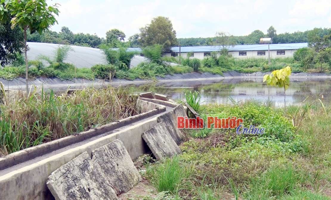 UBND huyện Đồng Phú phản hồi thông tin trên Báo Bình Phước
